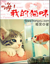 小说嗨我的猫咪全文阅读